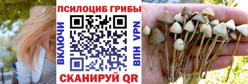 omg ТОР  Белёв  Псилоцибиновые грибы Cubensis 